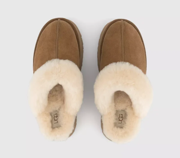 UGG Disquette Slippers  Chestnut